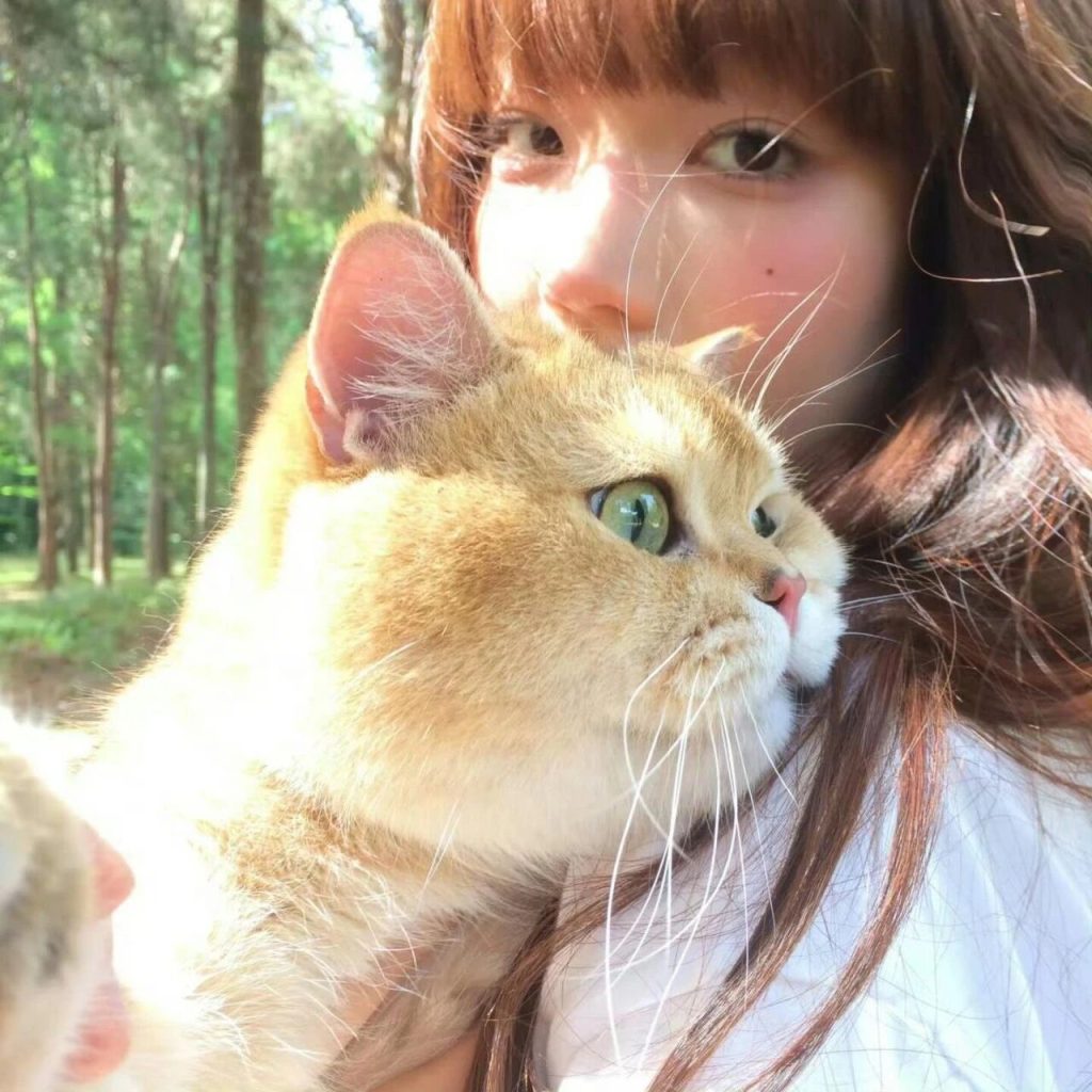 图片[41]-𝙒𝙚𝘾𝙝𝙖𝙩 | 女生头像100张【可直接保存】-优美阁